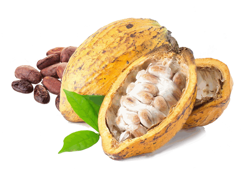 Cacao